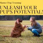 Master Dog Training Like Never Before: Unleash Your Pup's Potential